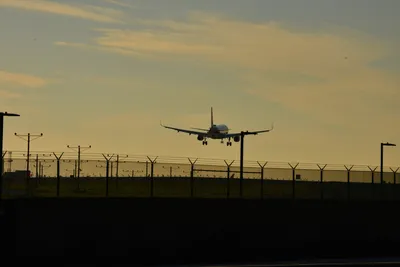 DSC_5723 (Large).JPG